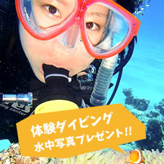 体験ダイビングキャンペーン