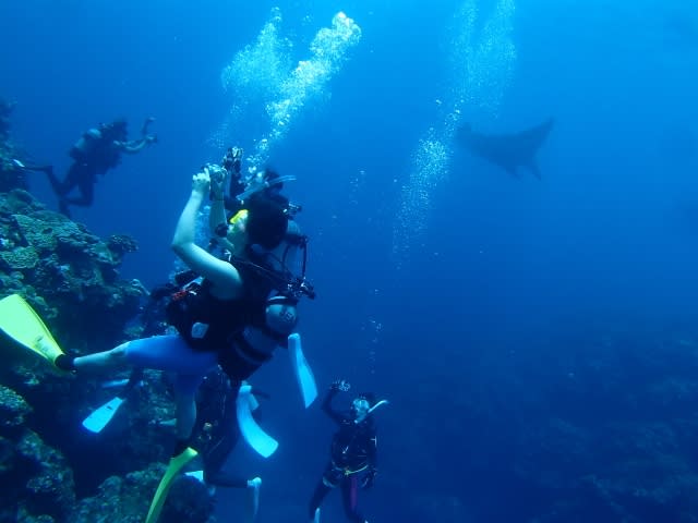 P6290007_640x480 P6290007_640x480