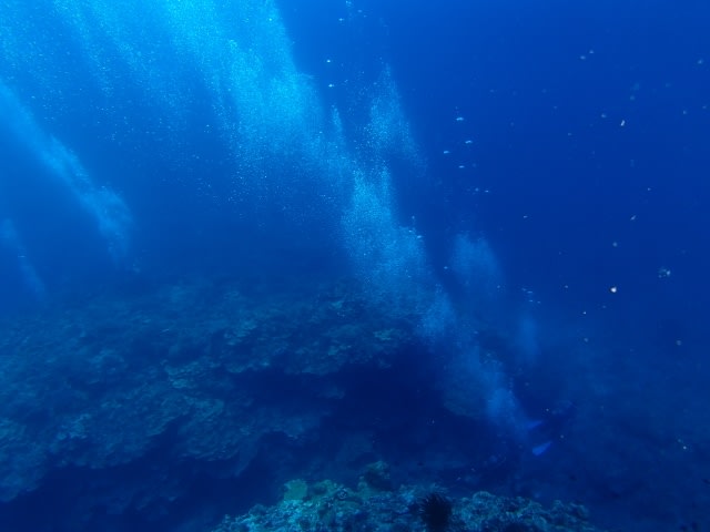 P9090006_640x480_2 P9090006_640x480_2