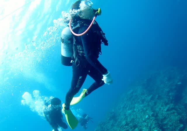 P8135164_640x451 P8135164_640x451