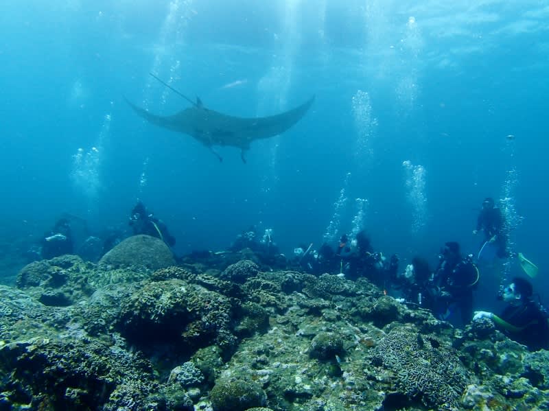 P6220022_800x599 P6220022_800x599