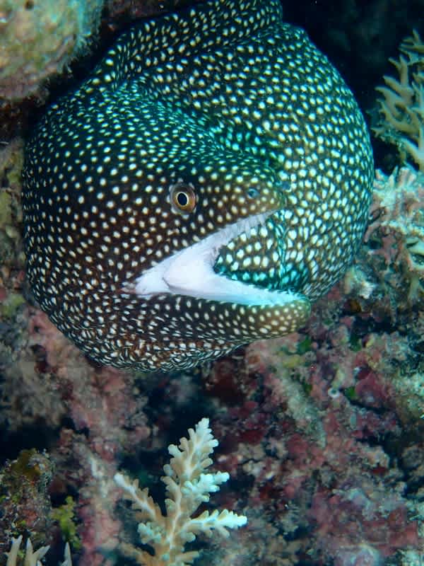 P6221954_600x800 P6221954_600x800