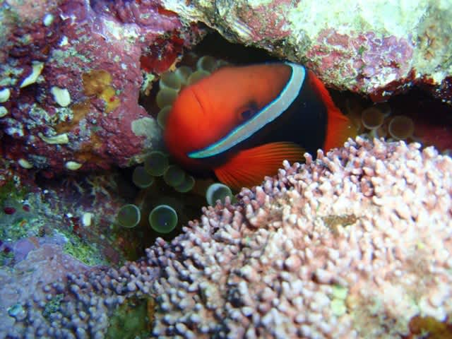 P7090004_2 P7090004_2