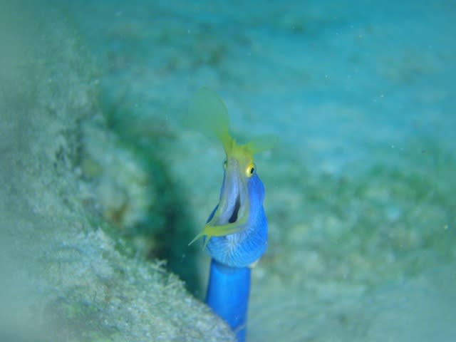 Pc040004 Pc040004