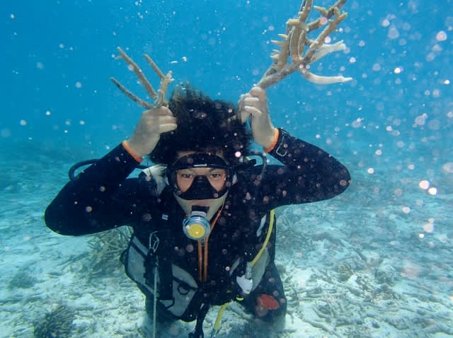 P4200026_640x478 P4200026_640x478