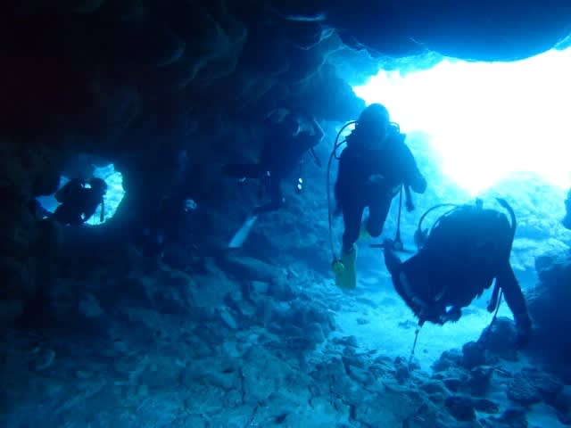 P9287710_640x480 P9287710_640x480