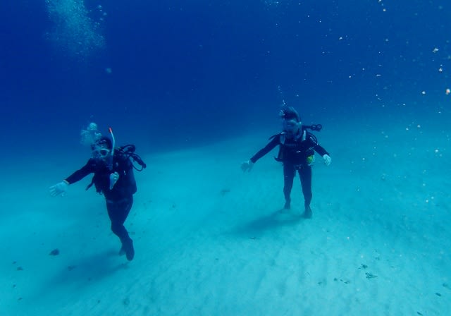 P9250053_640x448 P9250053_640x448