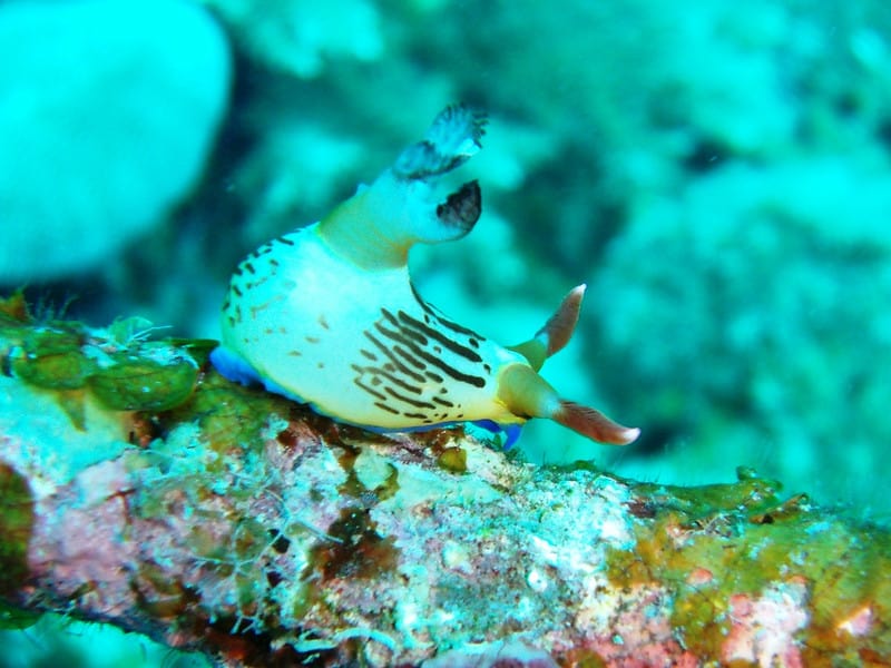 Gedc0768_2 Gedc0768_2