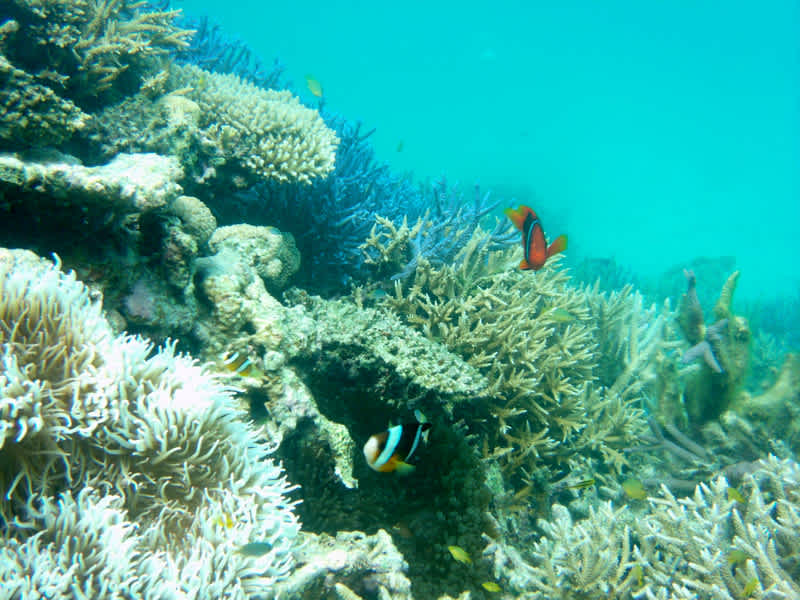 Gedc0011_2 Gedc0011_2