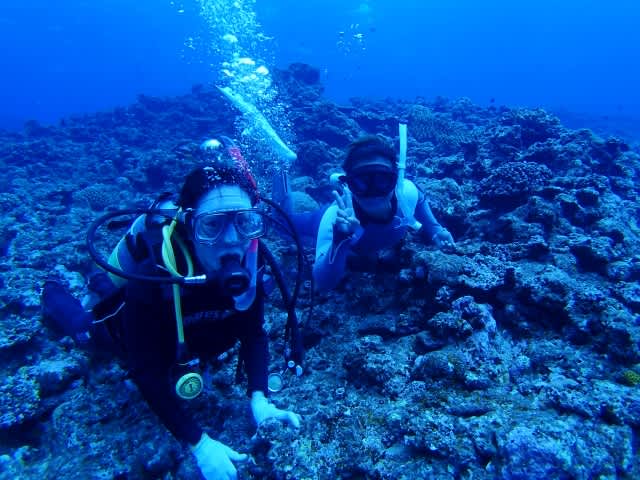 Pa170065_640x480 Pa170065_640x480