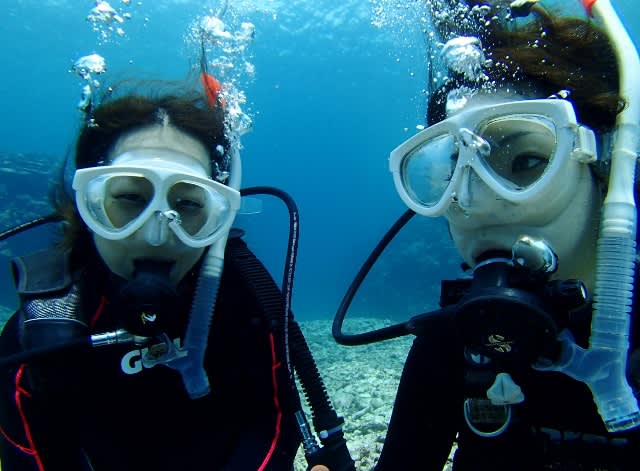 P9130019_640x471 P9130019_640x471