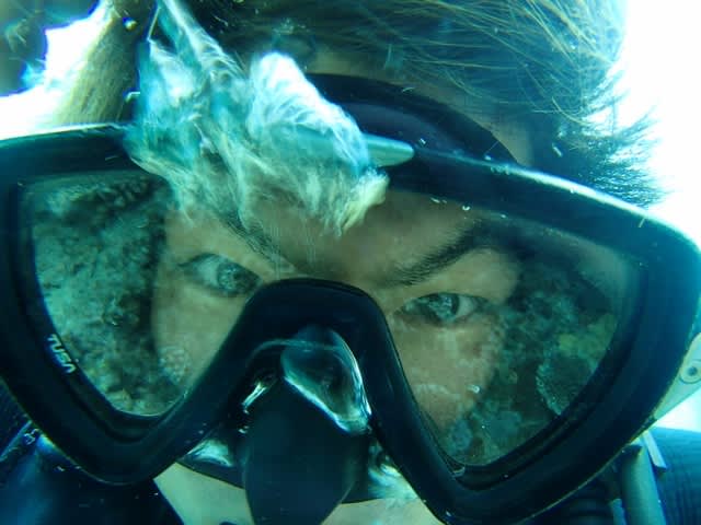 P3280047_640x480 P3280047_640x480