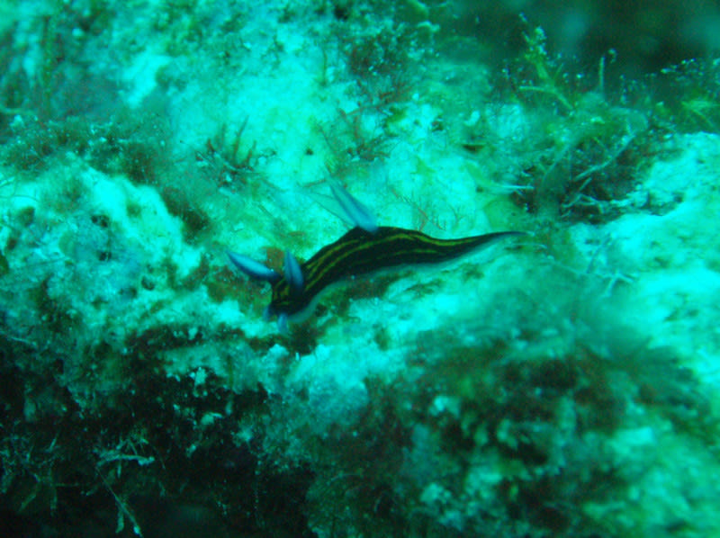 P9240001_2 P9240001_2