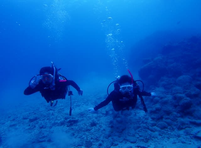 P9130009_640x471 P9130009_640x471