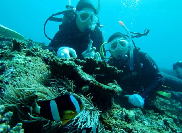 P3230017_640x470 P3230017_640x470