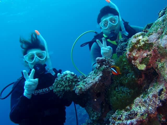 P4230106_640x480 P4230106_640x480