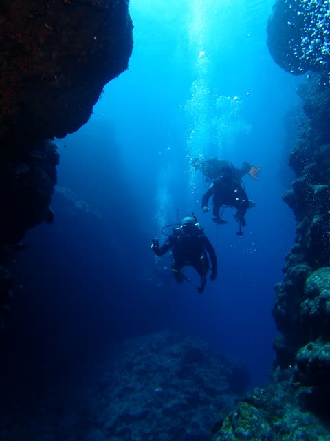 Pa010023_480x640 Pa010023_480x640