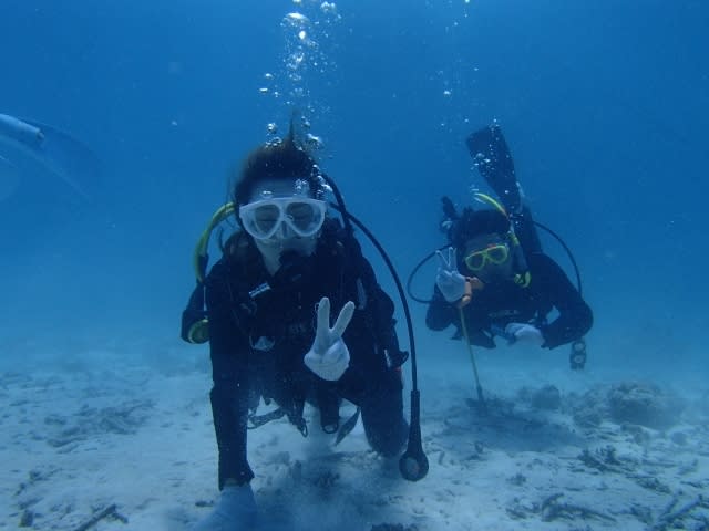 P6300005_640x480 P6300005_640x480