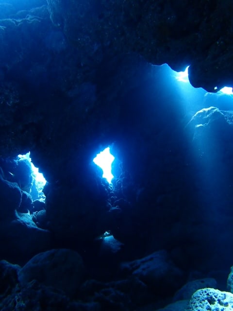 P9060032_480x640 P9060032_480x640