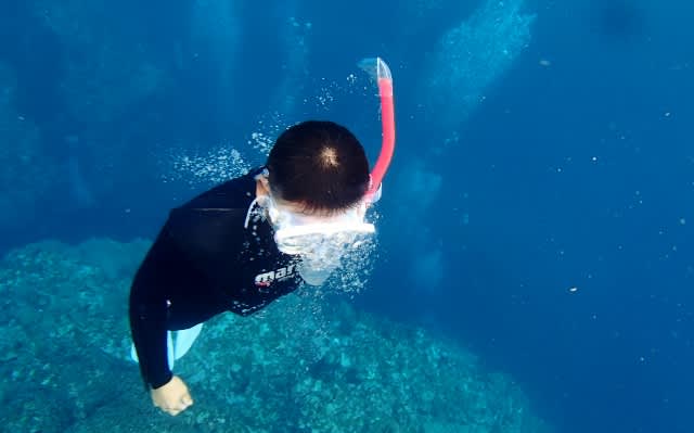 Pa250027_640x399 Pa250027_640x399