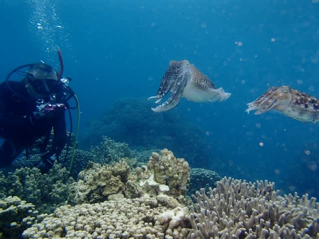 P5280003_640x480 P5280003_640x480