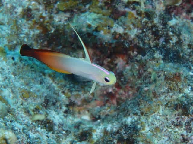 Pa010028_640x480 Pa010028_640x480