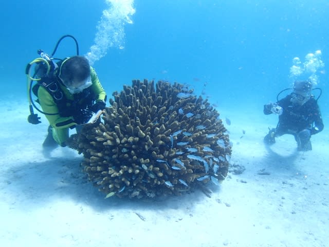 P6302294_640x480_640x480 P6302294_640x480_640x480