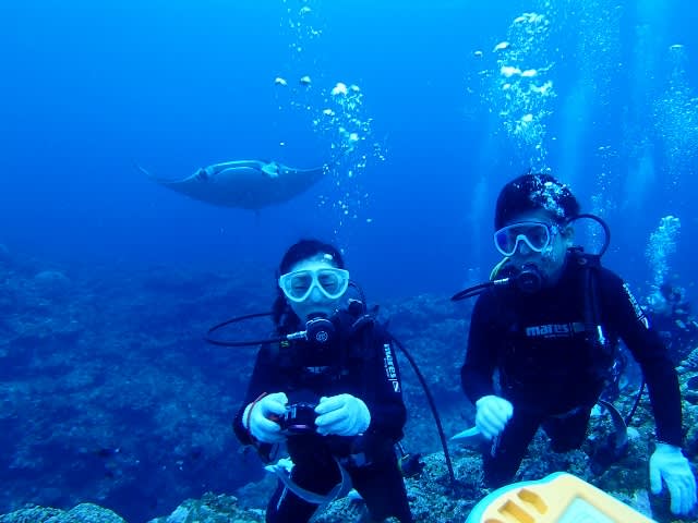 P8155330_640x480 P8155330_640x480