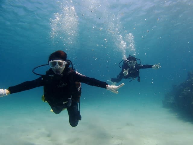 Pa190039_640x480 Pa190039_640x480