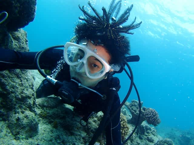 Pa188439_640x480 Pa188439_640x480