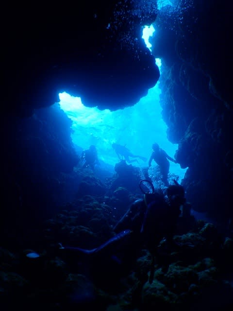 P6240003_2 P6240003_2