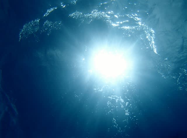 P5251124_640x471 P5251124_640x471