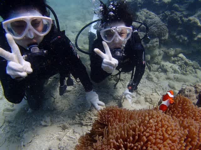 Pa190031_640x480 Pa190031_640x480