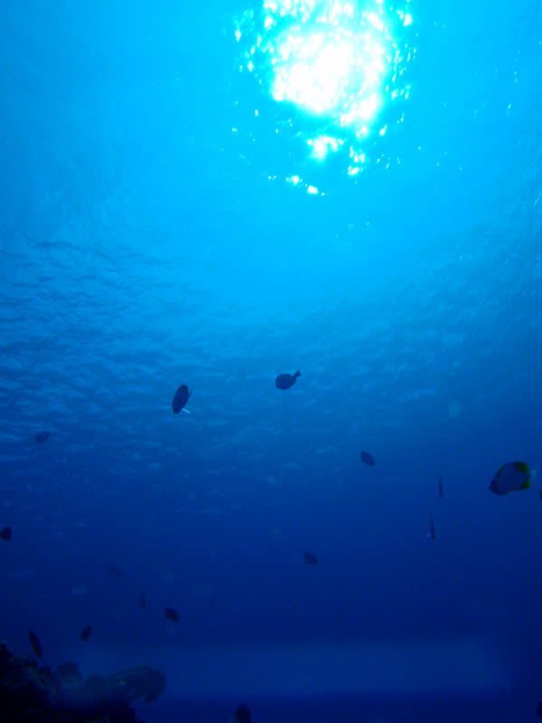 Pc117426_2 Pc117426_2