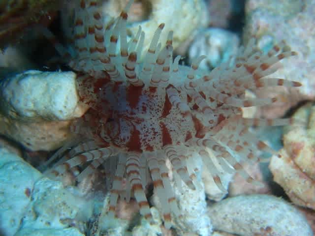 P9160029_640x480 P9160029_640x480