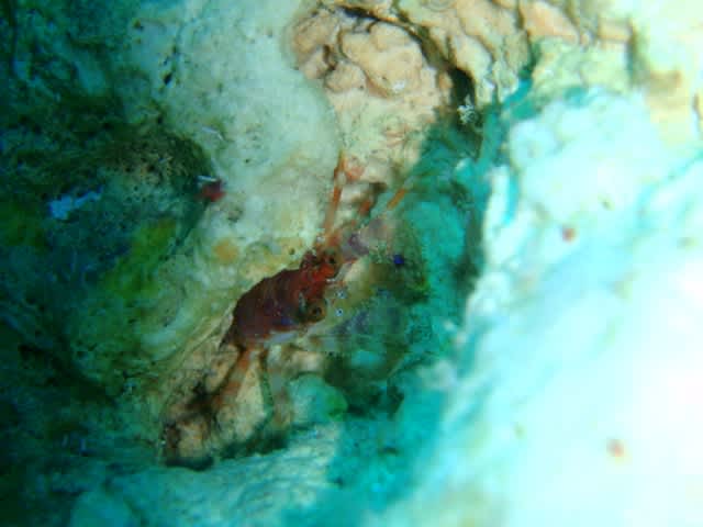 P7160017_2 P7160017_2