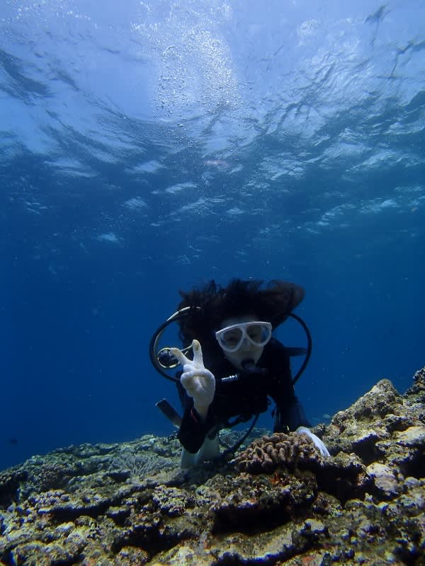 P6280014_600x800 P6280014_600x800