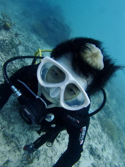 Pa090017_480x640 Pa090017_480x640