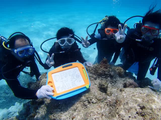 P7223488_640x479 P7223488_640x479