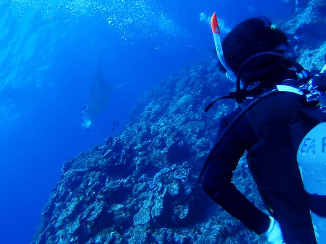 P8170008_640x480 P8170008_640x480