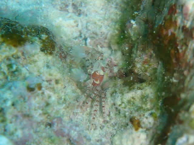 P8140011_640x480 P8140011_640x480