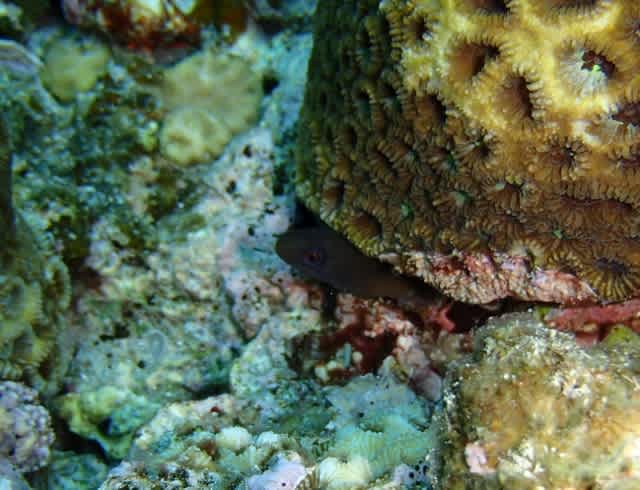 P4190016_640x490 P4190016_640x490