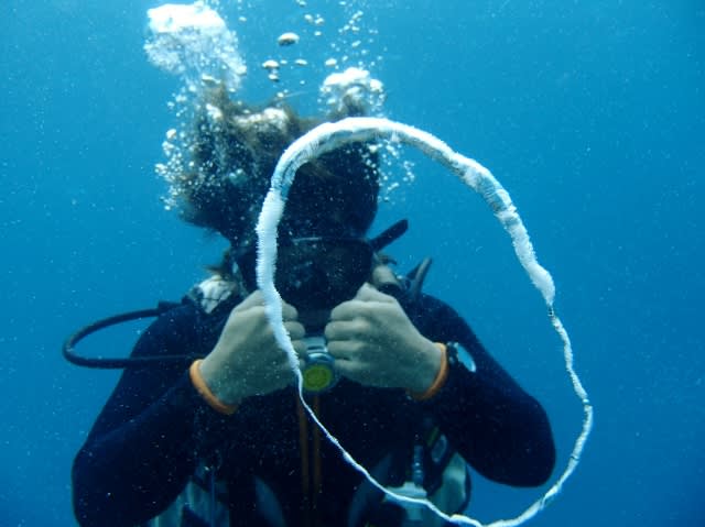 P5050063_640x479 P5050063_640x479