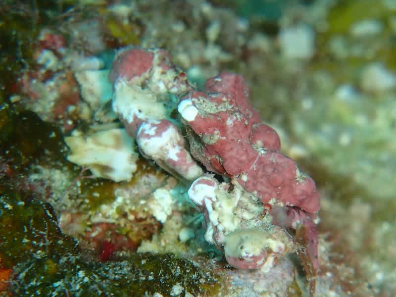 P6260045_800x600 P6260045_800x600