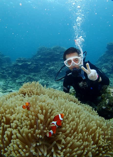 P8145222_463x640 P8145222_463x640