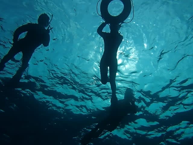 P3220004_640x480 P3220004_640x480