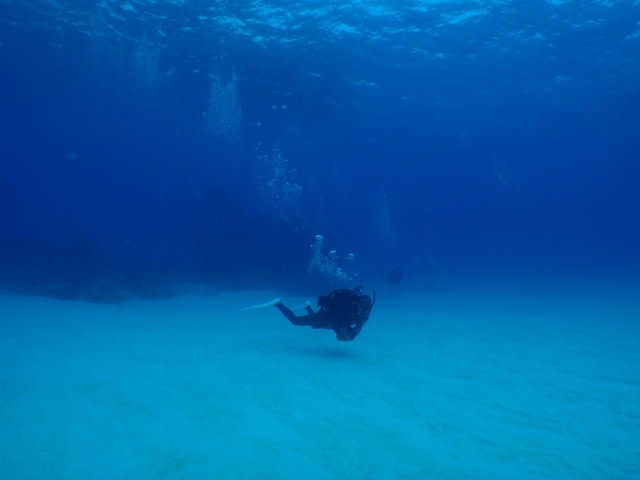 Pc040028 Pc040028
