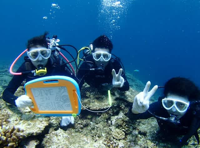 P8135158_640x473 P8135158_640x473