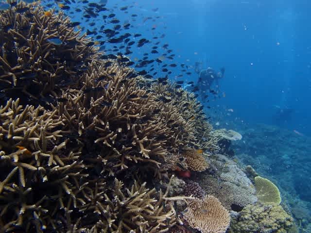 P9270027_640x480 P9270027_640x480