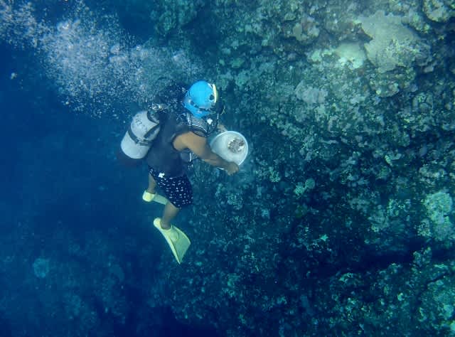 P9230036_640x474 P9230036_640x474